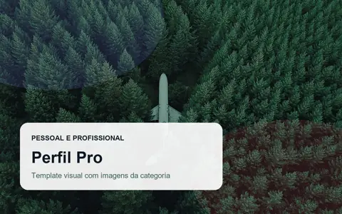 Perfil Pro